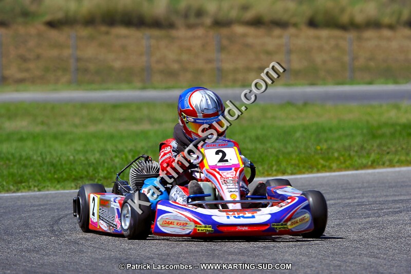 DSC_ (1503).jpg